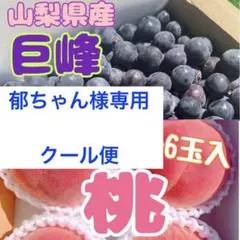 郁ちゃん様専用　山梨県産　桃　なつっこ　川中島　5〜6玉入り　朝採り　新鮮　果実