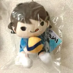 ハイキュー　レシーブマスコット　及川