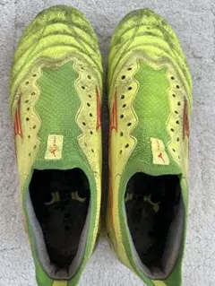 モレリアネオ4β