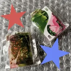 【送料込み】ウィキッド ガチャ グリッタースイングキーチェーン Cセット