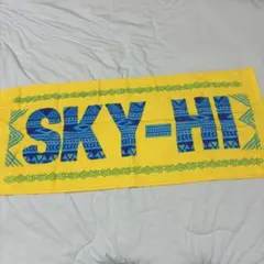 2026年最新】sky-hi タオルの人気アイテム - メルカリ