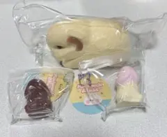 モチモチアクセ Mochimochi Akuse モリモット 立体ナマコ セット
