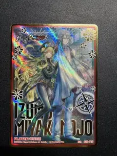 2025年最新】Z/X カードローダーの人気アイテム - メルカリ