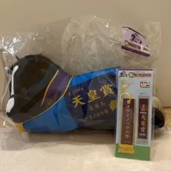 タイトーくじ　HORSE HEROES LH賞　イクイノックス