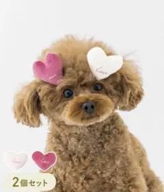 3COINS ハートヘアピン レッド 犬 ペット