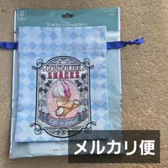 ディズニーストーリービヨンド　2026　パラッツォ・カナル　巾着