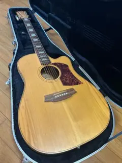 Cole Clark FL2ACのサムネイル