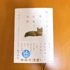 捨てられた僕と母猫と奇跡 : 心に傷を負った二人が新たに見つけた居場所
