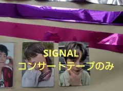 ［あい様　専用］ソイングクSIGNALコンサートテープ　2本