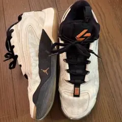 ジョーダン スニーカー バスケットボール