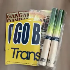 KOSHIGAYA ALPHAS 越谷アルファーズ　プログラム　ピカネギ