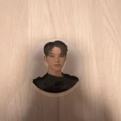 SEVENTEEN FOLLOW JAPAN ホシ 缶バッジ