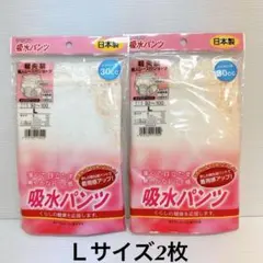 Item thumbnail for item 9f6a13e8-b8c4-40c6-bf9e-006364c4eb21