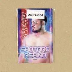 プロレスポスター 蝶野正洋 - メルカリ