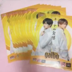 ふまけん ガルボ クリアファイル