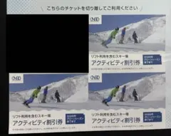 スキー場 リフト割引券 3枚 2025-2026シーズン 日本駐車場開発
