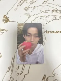 enhypen THE SIN : VANISH ソヌ　トレカ