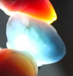 ［極上］糸魚川翡翠 青翡翠 原石 6.4g