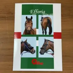 エフフォーリア 名馬証明写真風 コンビニプリント シークレット