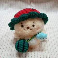〇みゃん様専用〇ぽてぽてたん用　スイカ帽子と丸スイカショルダーバッグ