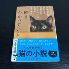 猫 文学・小説