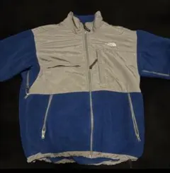 THE NORTH FACE フリースジャケット ブルー/グレー