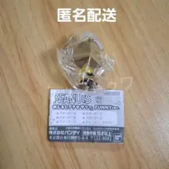 PEANUTS めじるしアクセサリー FUNNY ver.　1個