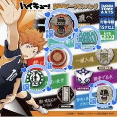 ハイキュー 高校モチーフ ピンバッジ 烏野 音駒 青葉城西 鴎台 伊達工