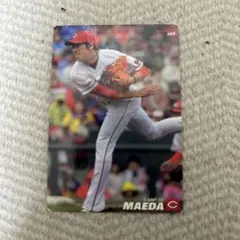 2004年プロ野球チップス インサートカード・スペシャルエディション