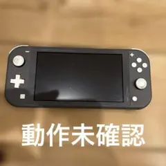 R*G様 ジャンク Nintendo Switch Lite グレー 本体 - メルカリ
