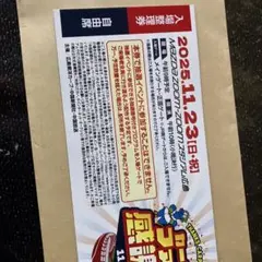 カープファン感謝デー　自由席入場券 Zoom-Zoom スタジアム広島のサムネイル