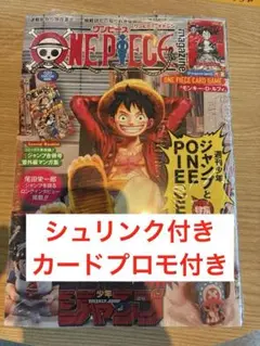 ワンピースマガジン 20 付録付き ルフィ カード プロモ　新品未読品