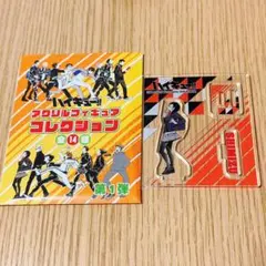 ハイキュー　アクリルフィギュアコレクション　 第1弾 烏野 清水潔子