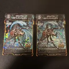 蟲神器　ゴライアスオオツノハナムグリ2枚　①