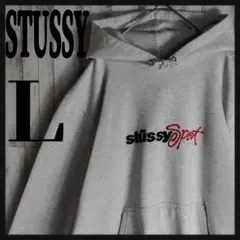【超絶人気モデル】STUSSY☆センター刺繍ロゴ入りパーカー希少即完売入手困難