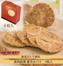 2026年最新】ガトウ専科の人気アイテム - メルカリ