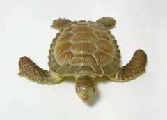 Item thumbnail for item 8166dff3-79a2-4b28-8492-d8e8aee5e750