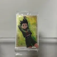 HUNTER×HUNTER ゴン カード イタジャガ SP