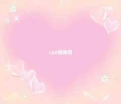 【tae様専用】おまとめ