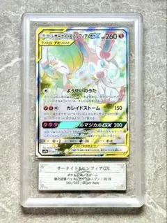 2025年最新】サーナイト&ニンフィア ars10の人気アイテム - メルカリ