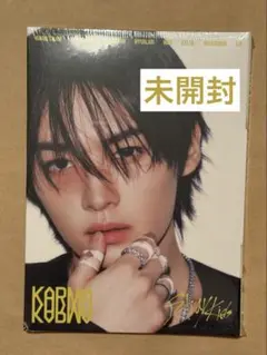未開封 スキズ リノ KARMA