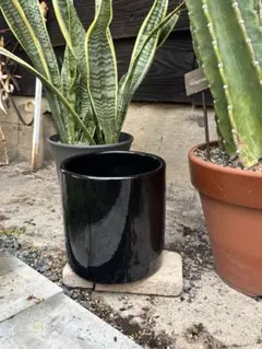 黒釉 陶器 鉢カバー ブラック 18cm フラワーポット 観葉植物カバー