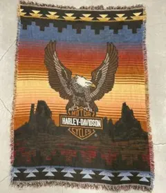 2026年最新】Harley-Davidson ラグ・カーペットの人気アイテム - メルカリ