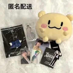 TREASURE ハルトセット まとめ売り