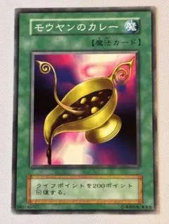 モウヤンのカレー　初期スターターボックス