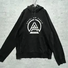 f15 アメリカンイーグル ロゴパーカー ヴィンテージ 海外古着 アメカジ M