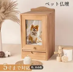 Item thumbnail for item ffe0440c-2766-433b-9035-86d36494eb05