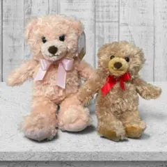 テディベア ぬいぐるみ 大小2体セット