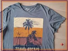 ユーロ古着 パームツリーTシャツ XL くすみブルー US古着 アメカジ