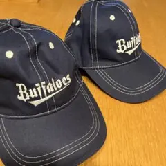 Item thumbnail for item 9a8c0e3b-6e59-44d5-b972-284413547aab